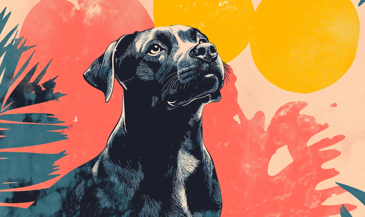 10 Essentials That Will Change The Game for First-Time Dog Owners