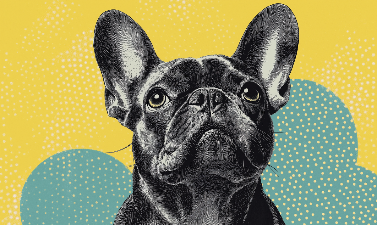 French Bulldog Fun Facts: Why This Breed is the Ultimate Snuggle Buddy