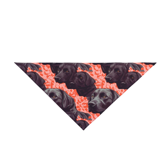 Coral Dreams Labs Pet Bandana