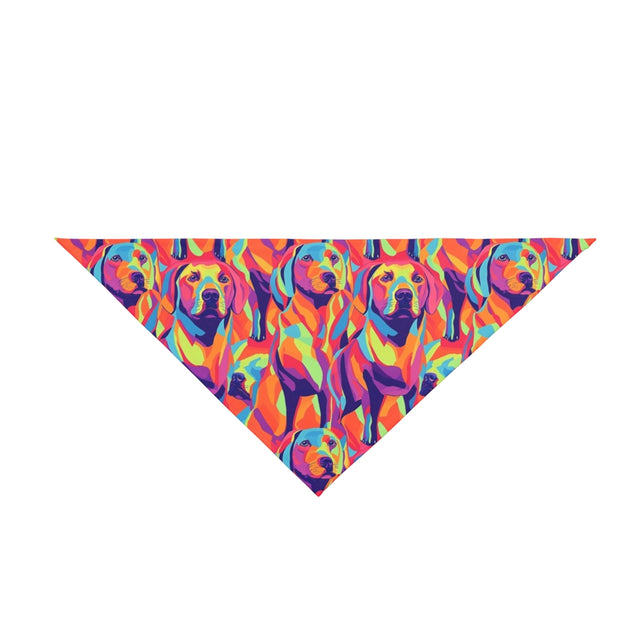 Kaleidoscope Labs Pet Bandana
