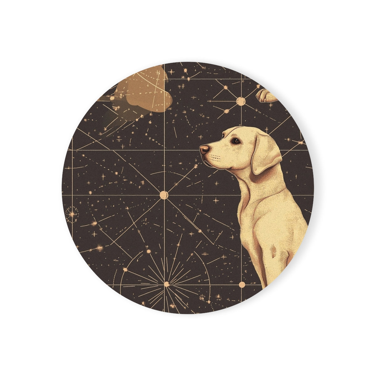 Stellar Navigator Labs Coasters
